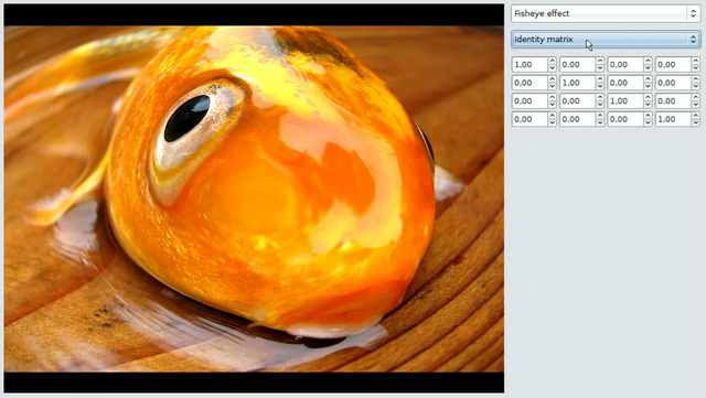 Hooray, fisheye effect on a fish! Click on the image to see the screencast
